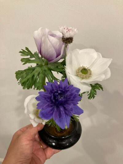 anemone mini arrangement